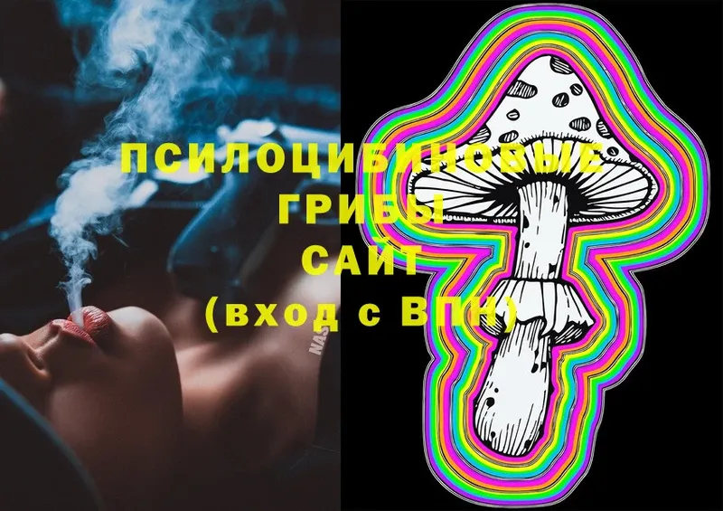 Псилоцибиновые грибы Cubensis  Агрыз 