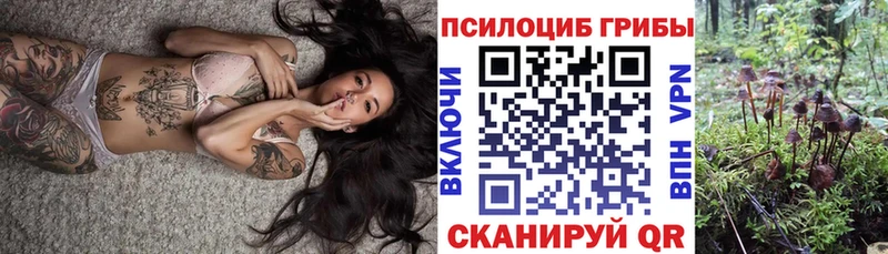 Псилоцибиновые грибы MAGIC MUSHROOMS  Агрыз 
